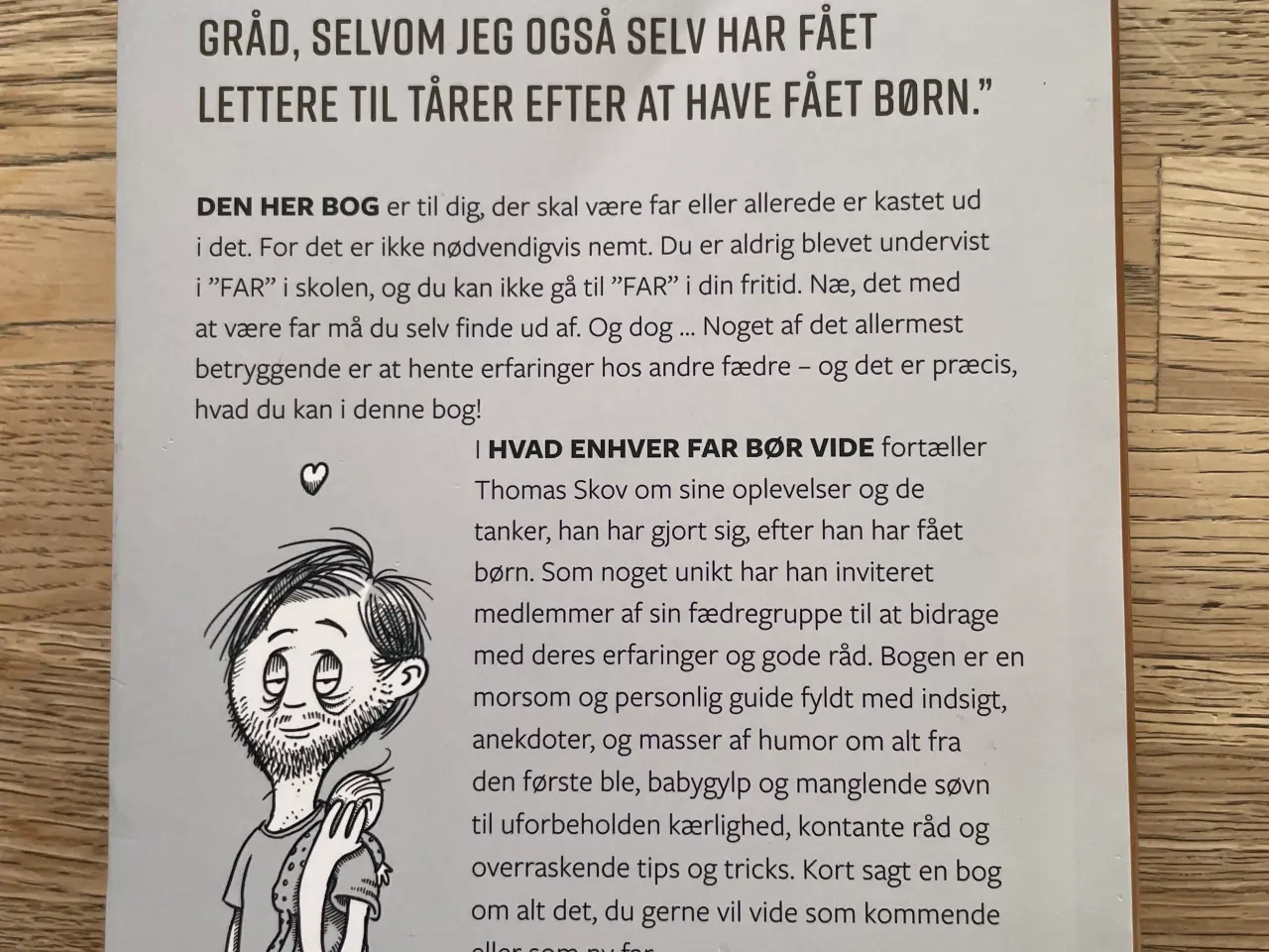 Billede 2 - Hvad enhver far bør vide, Thomas Skov