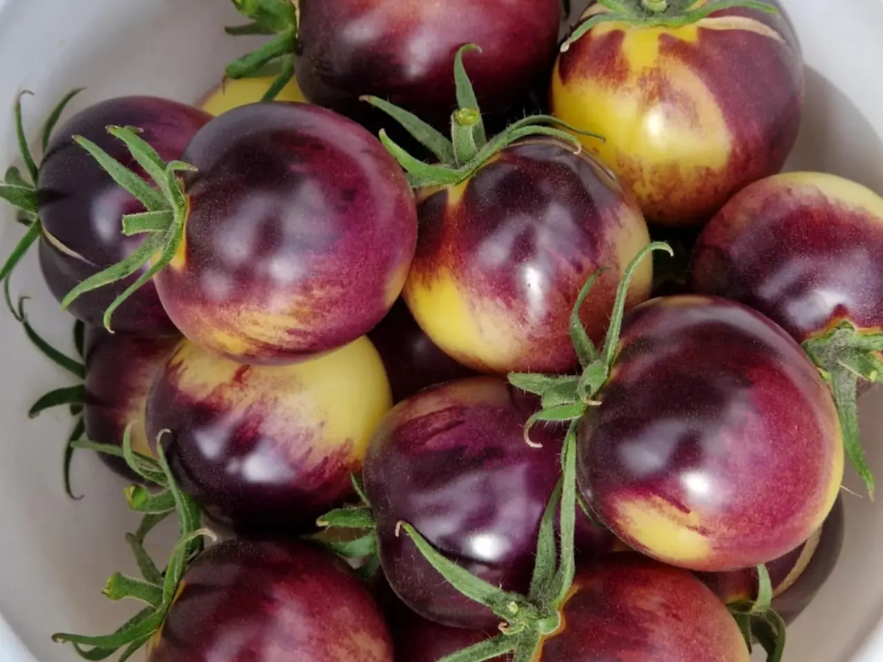 Billede 12 - TOMATFRØ - 300 sorter!!