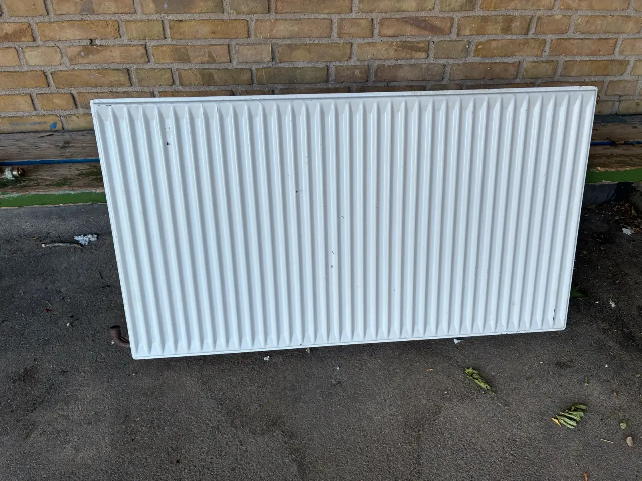Billede 1 - 65x120 vm