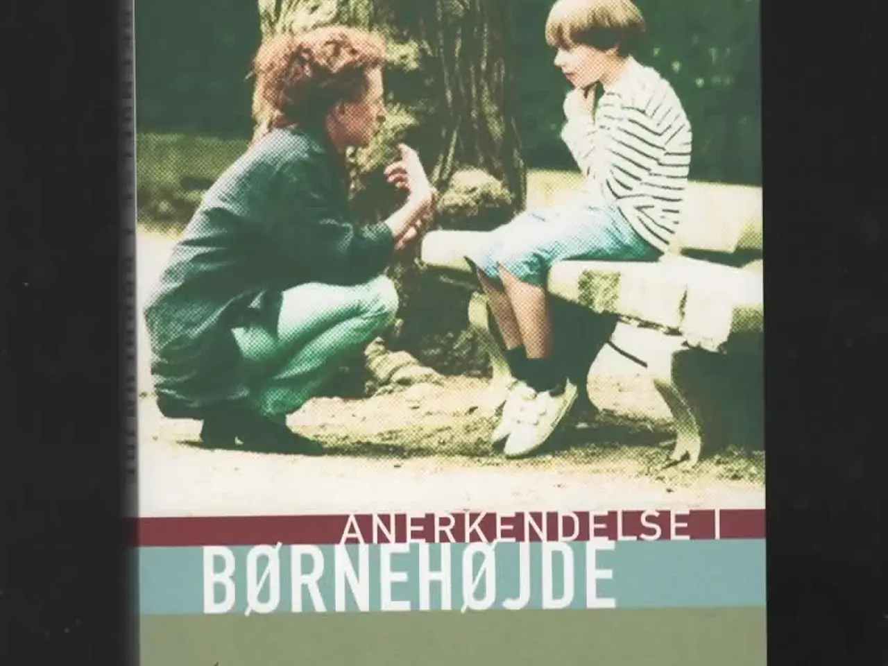 Billede 2 - Pædagogik anerkendelse