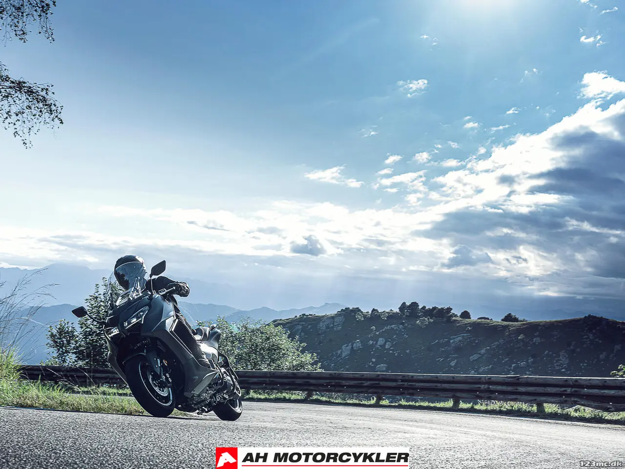 Billede 13 - Yamaha T-Max 560 25th Anniversary