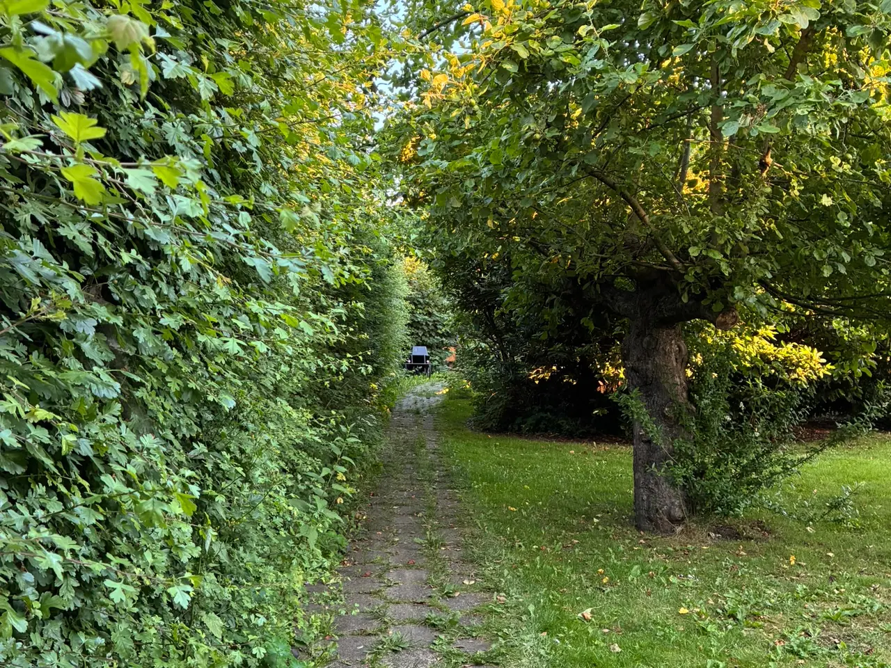Billede 13 - Helårsanvendelig og charmerende kolonihave