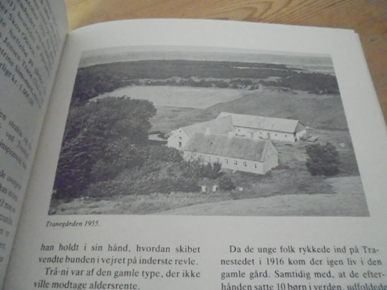 Billede 2 - Da bonden malkede den blå ko
