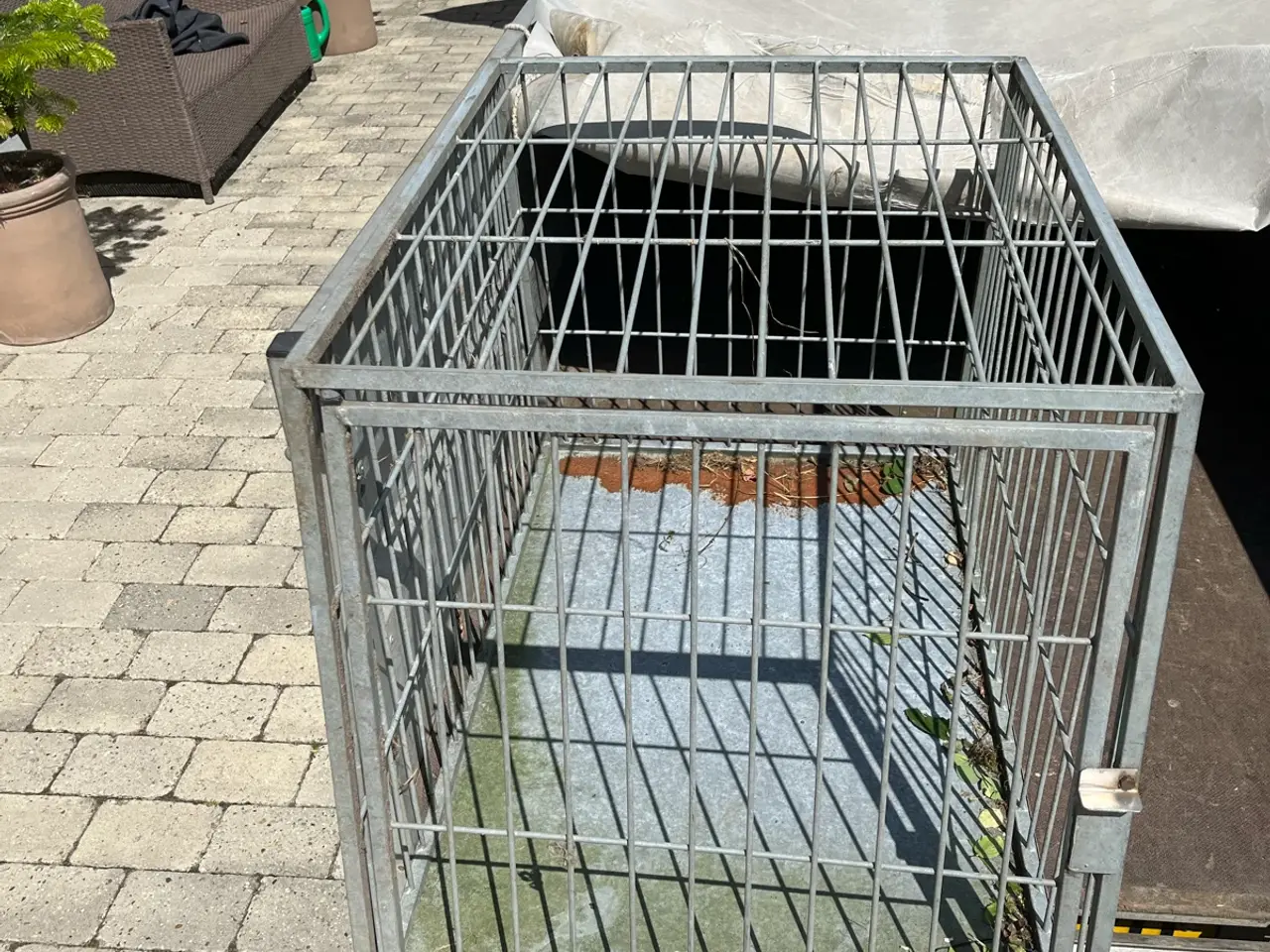Billede 2 - Transport bur sælges.