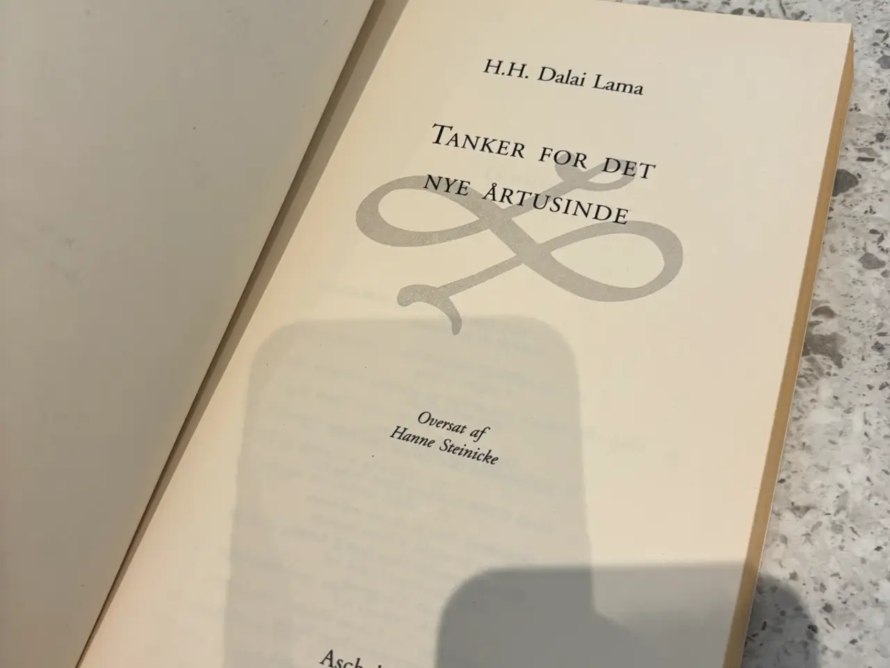 Billede 3 - Tanker for det nye årtusinde Dalai Lama