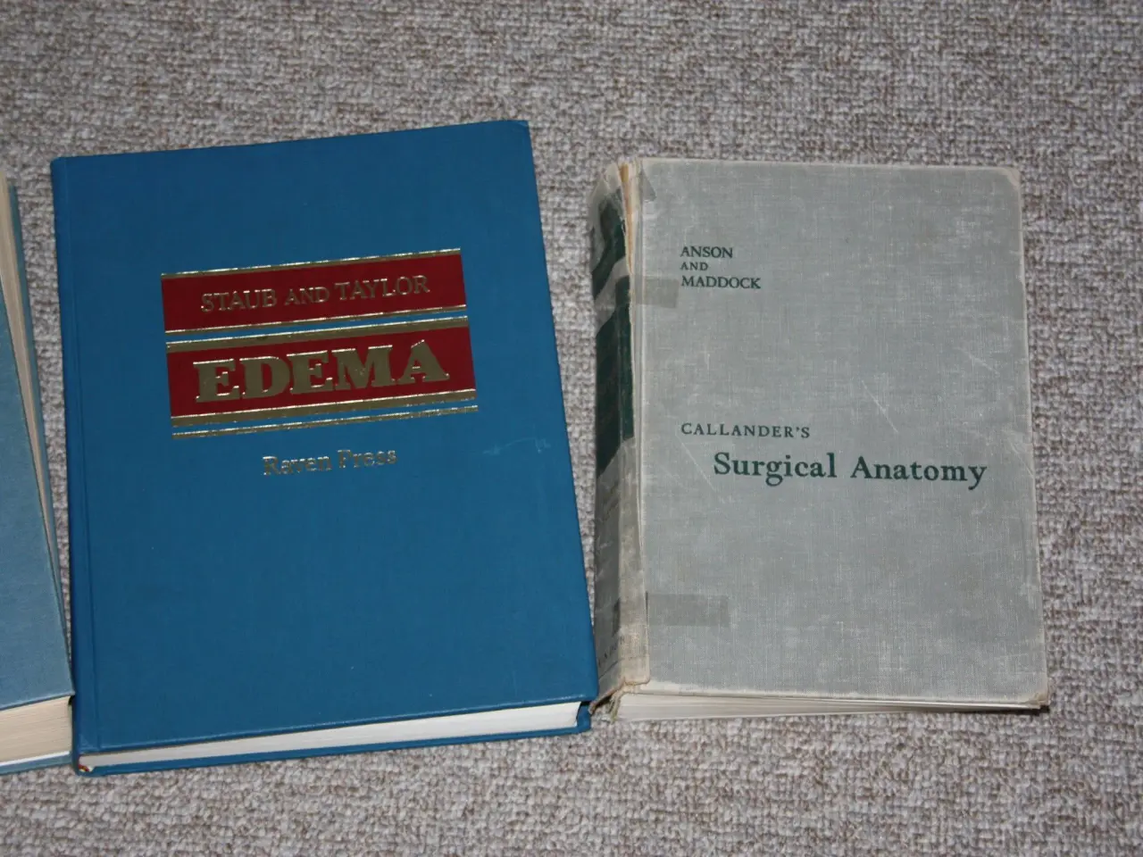 Billede 3 - Callander's Surgical Anatomy