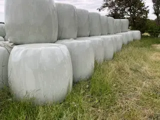 Tørt heste wrap tlf 24938881