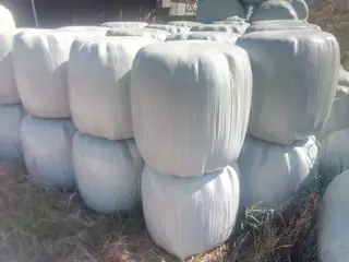 Minirundballer wrap