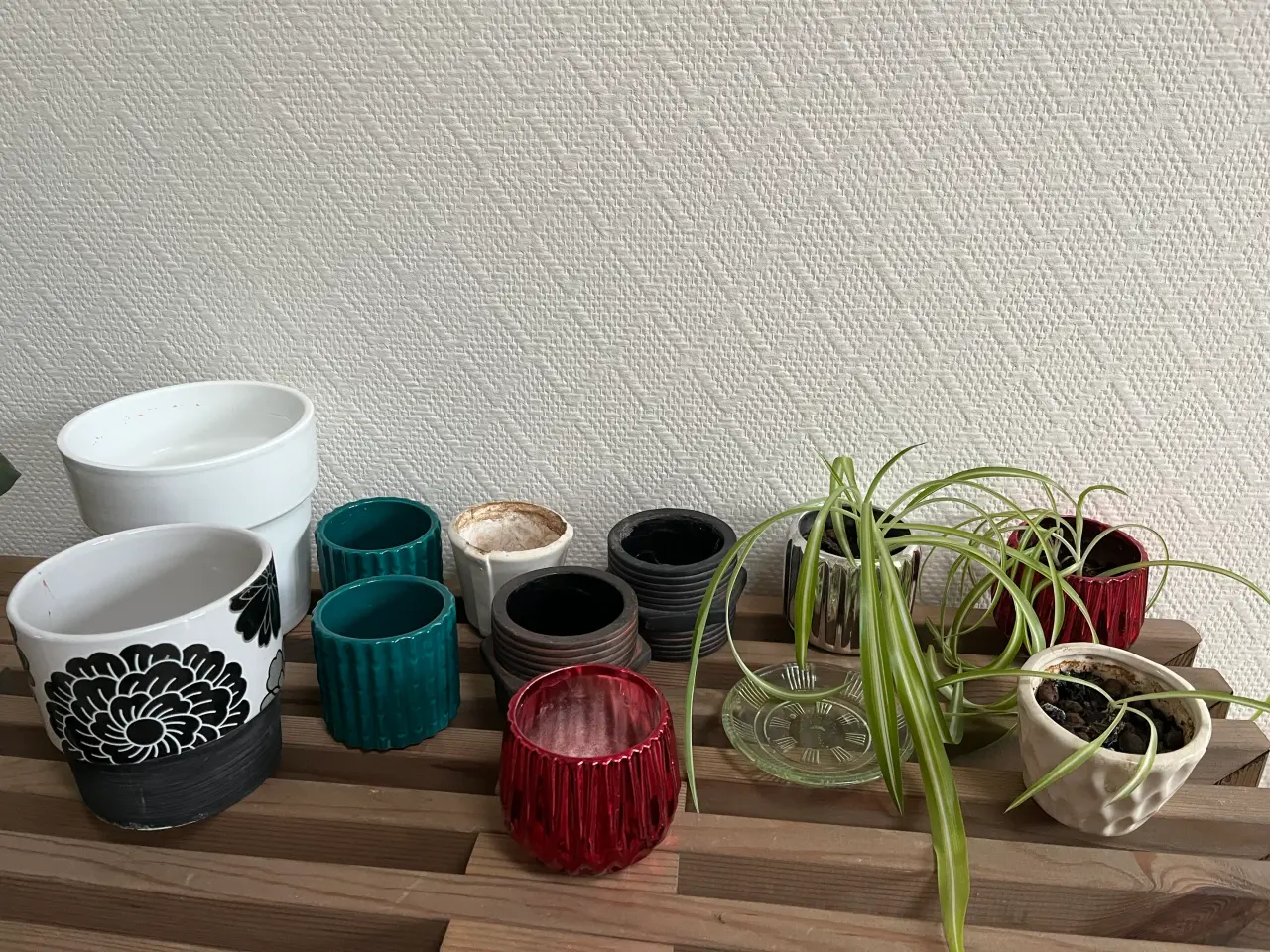 Billede 1 - Potter og planter