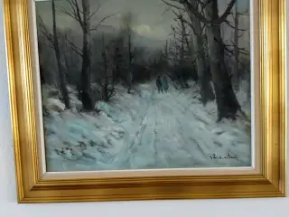 Smukt vinterbillede