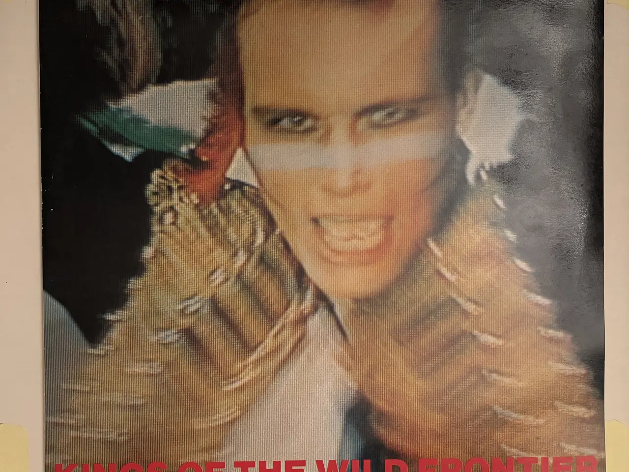 Billede 1 - Adam and the Ants - 2 vinyl records