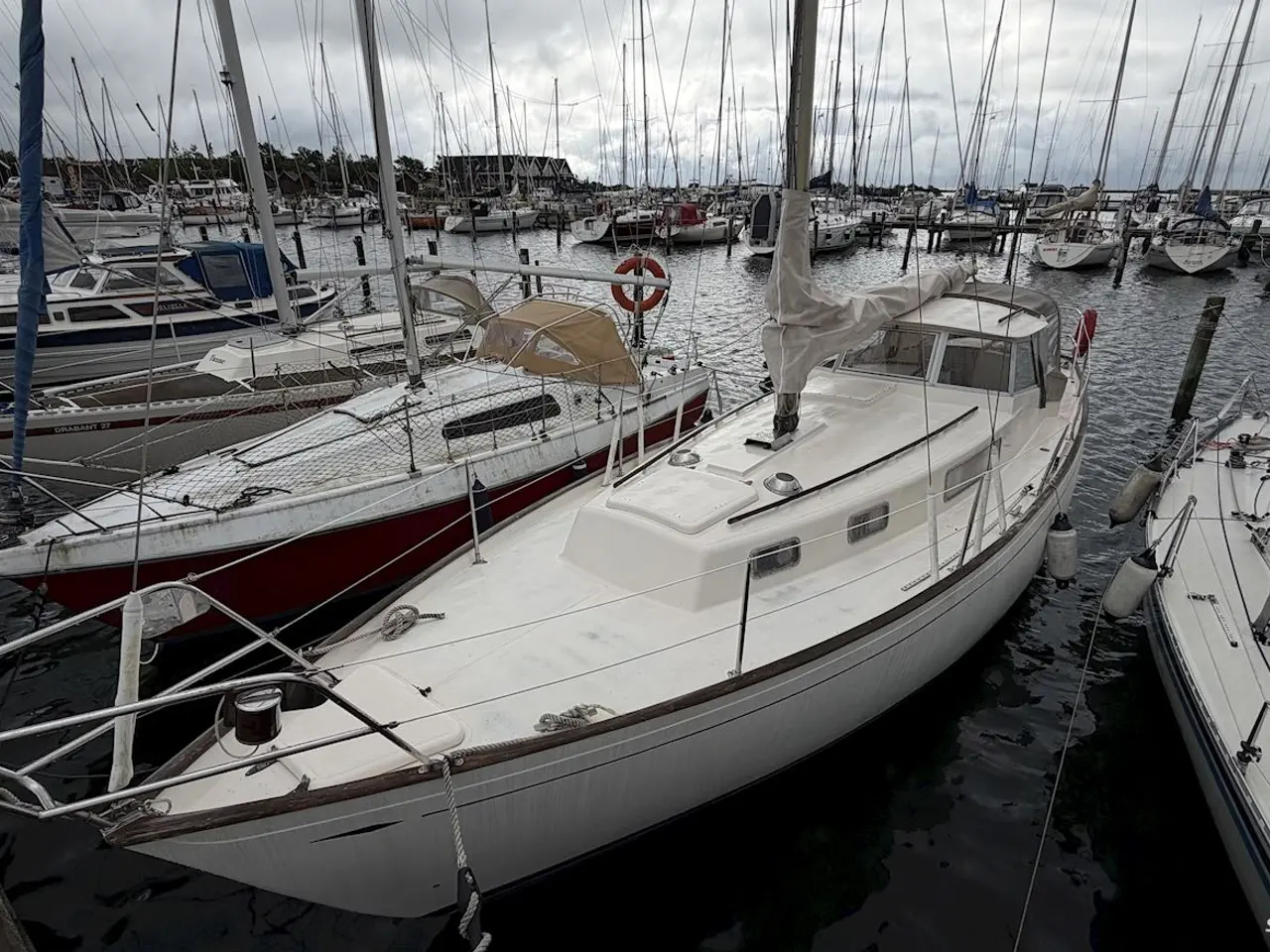 Billede 3 - Hallberg-Rassy Rasmus 35