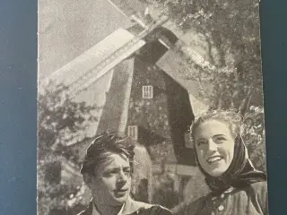 Den gamle mølle på Mols