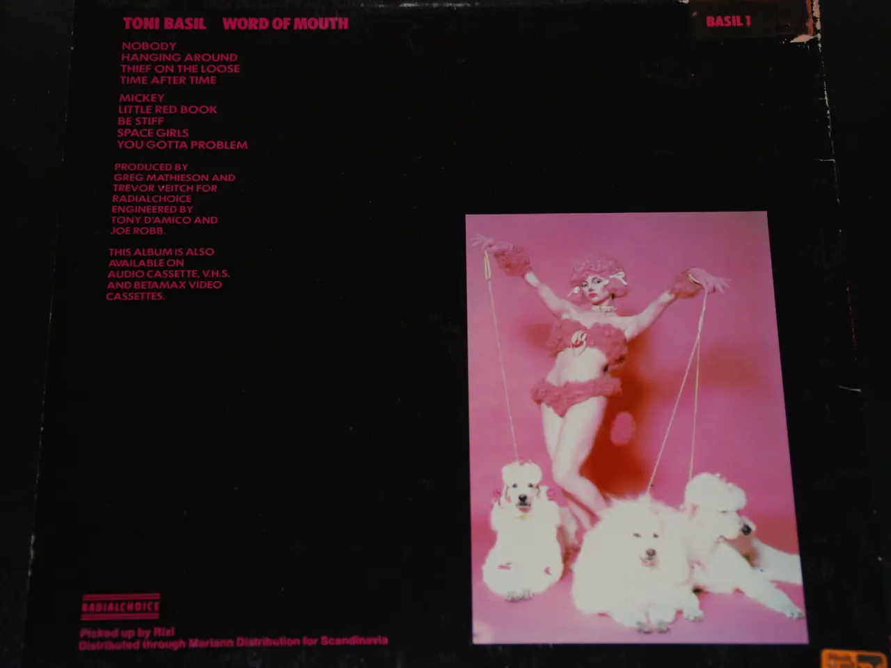 Billede 6 - 2 stk. lp - Toni Basil