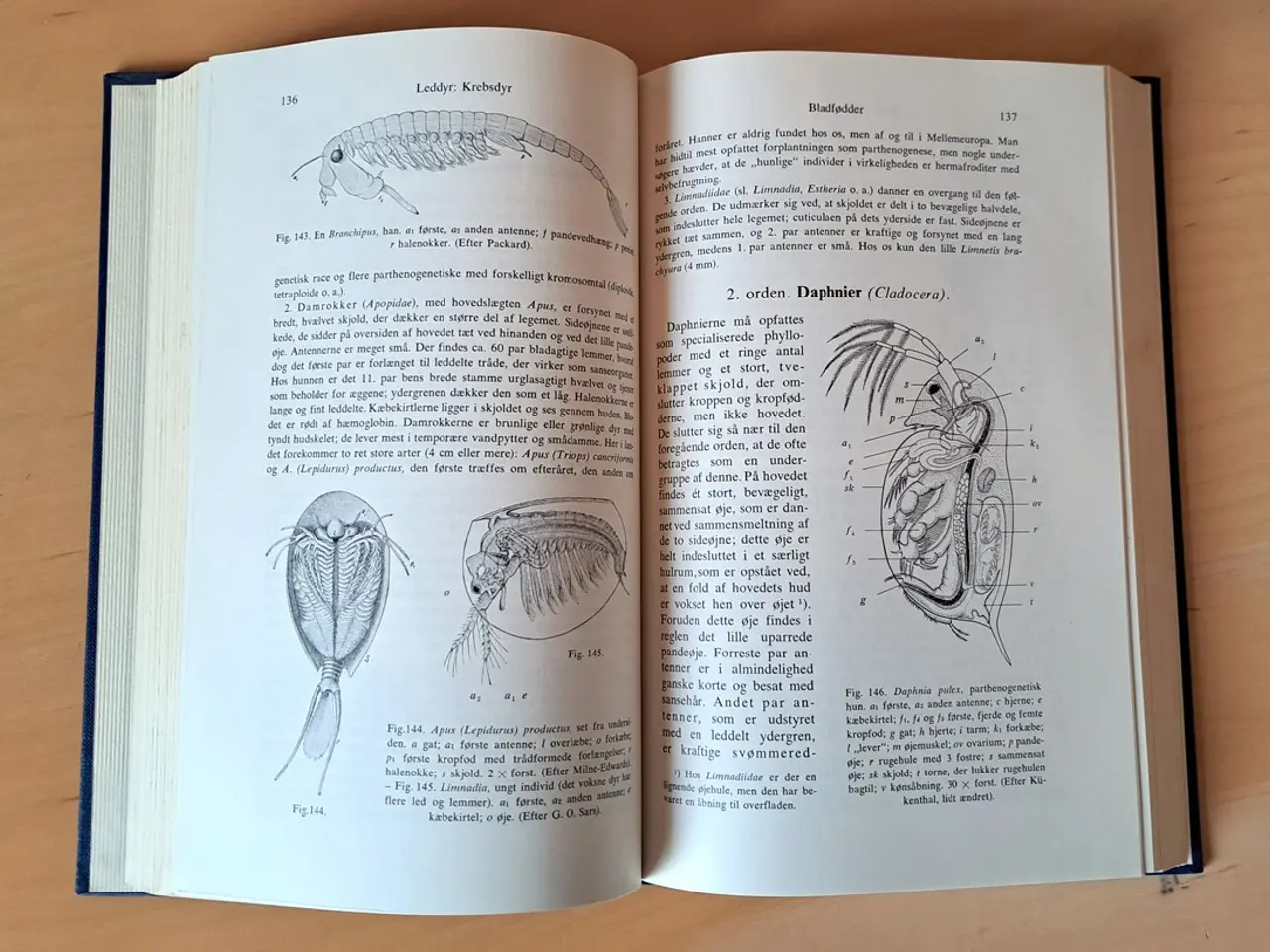 Billede 6 - Boas & Thomsen: Zoologi, vol. 1, 2 og 3