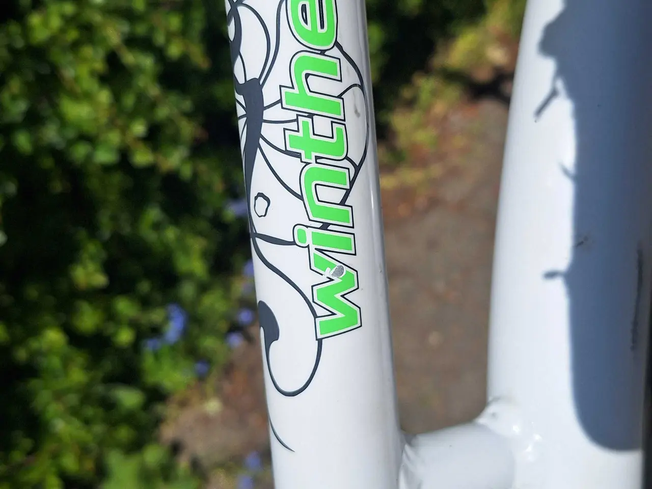 Billede 6 - Winther pigecykel