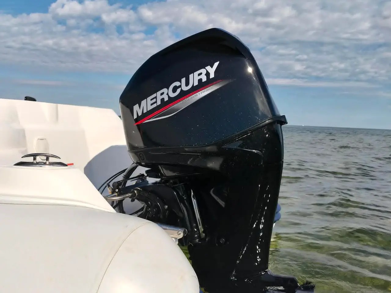 Billede 6 - NAUTILUS DLX 14 m. Mercury 60hk