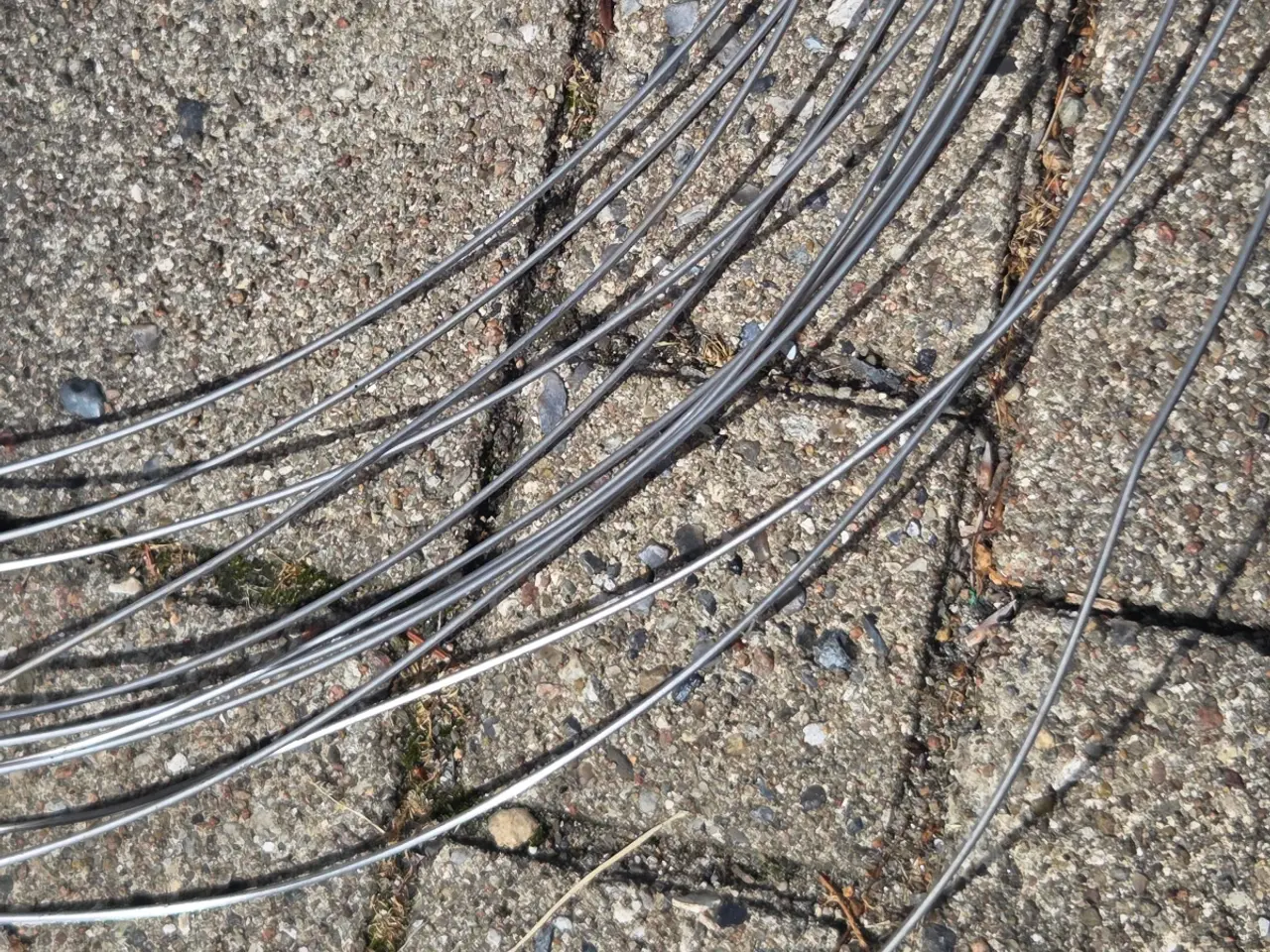Billede 2 - Rustfrit hegnstråd 3 mm