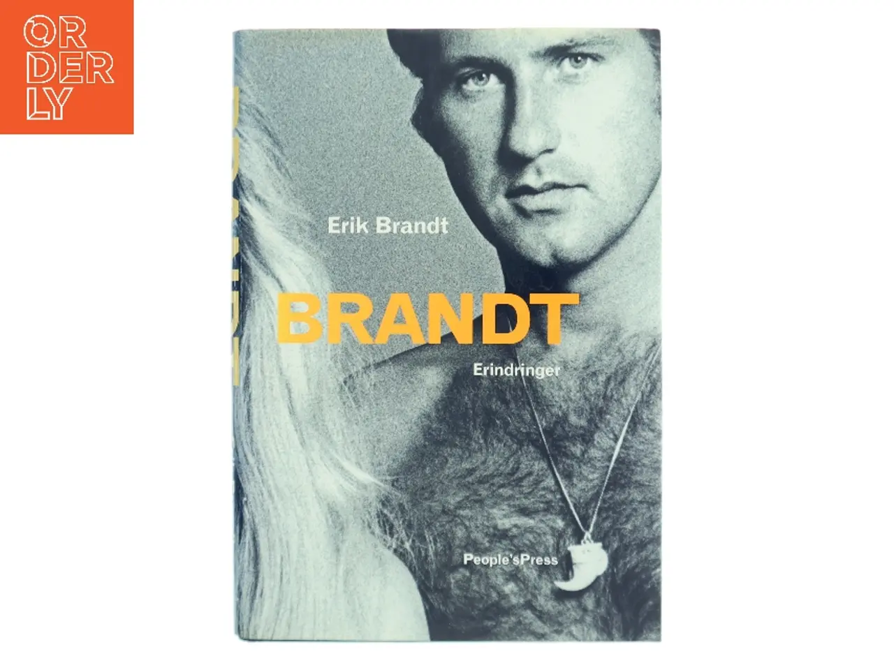 Billede 1 - Brandt af Erik Brandt (f. 1943) (Bog)