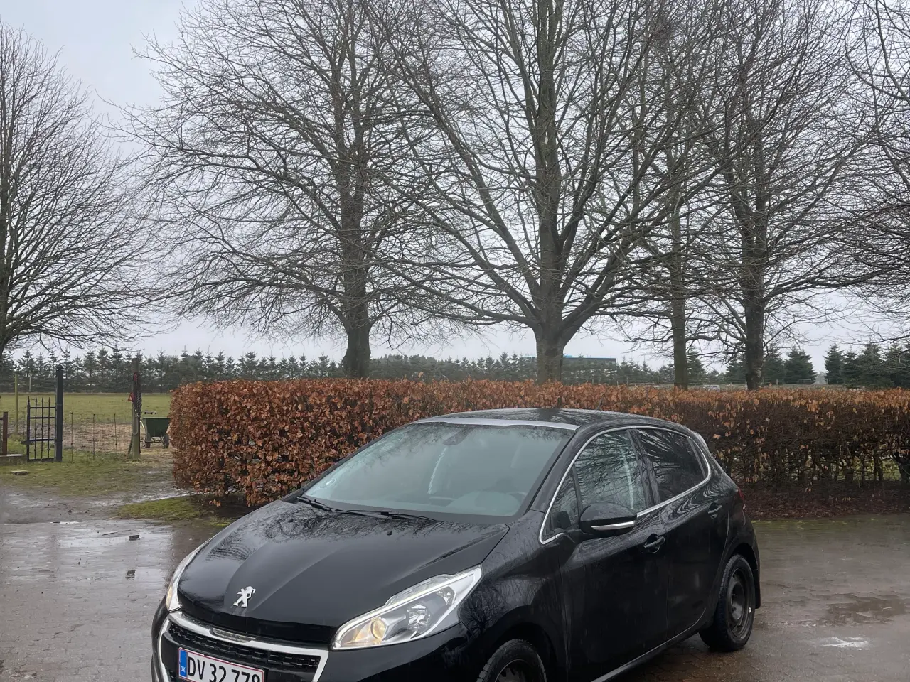 Billede 1 - Peugeot 208