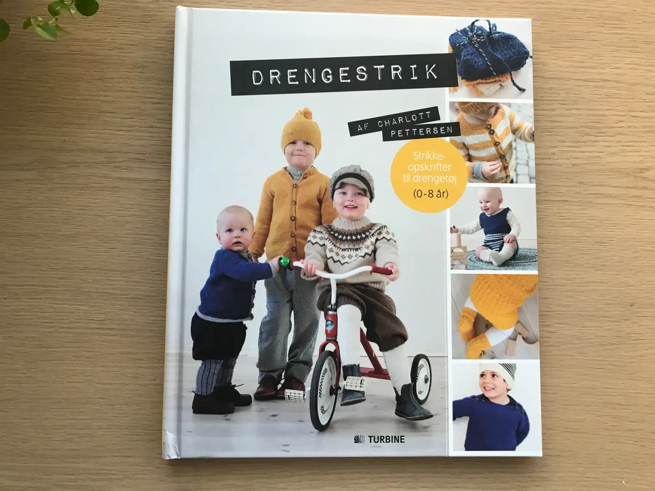 Billede 1 - DRENGESTRIK af Charlott Pettersen