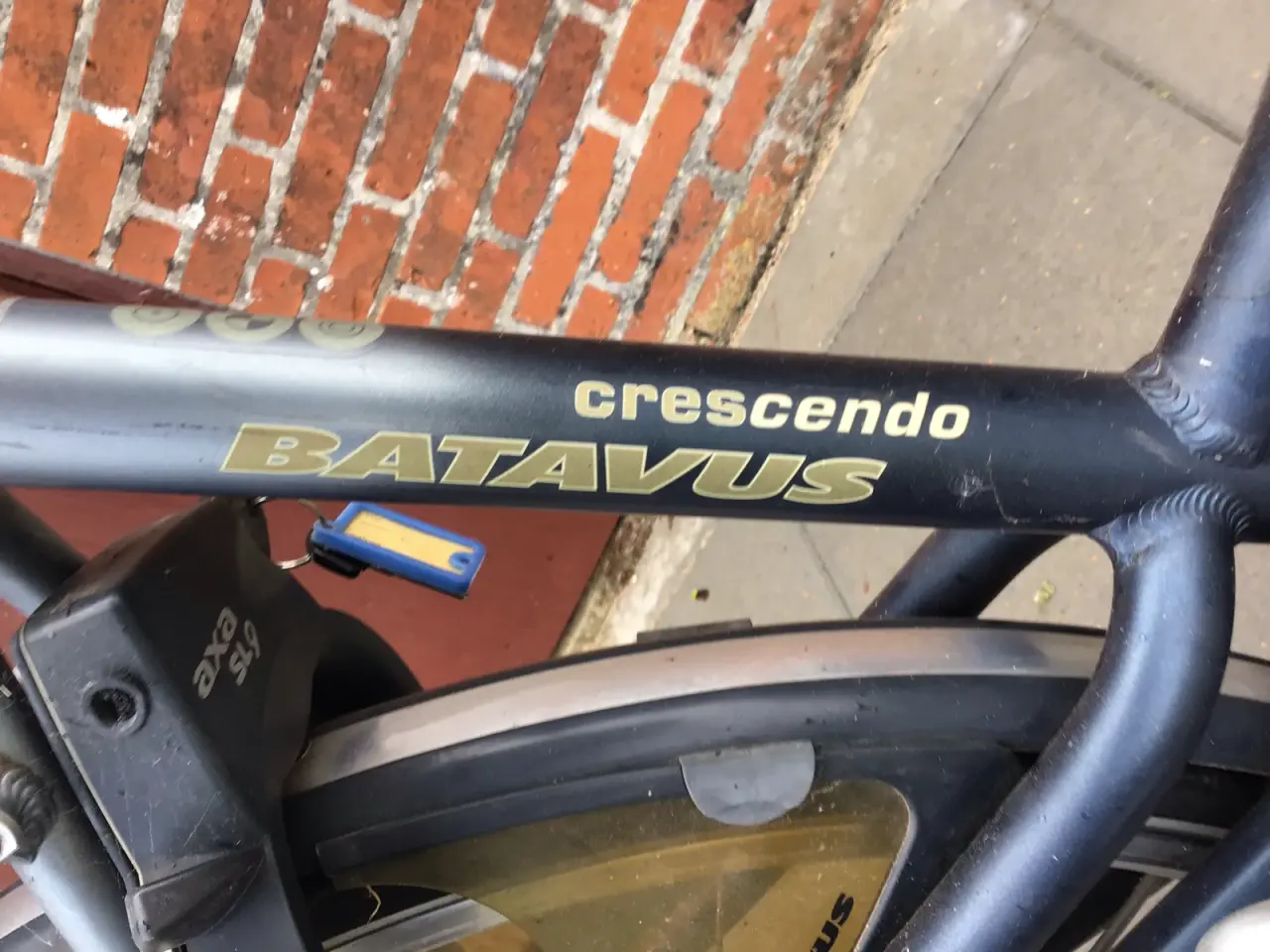 Billede 4 -  Batavus crescendo  