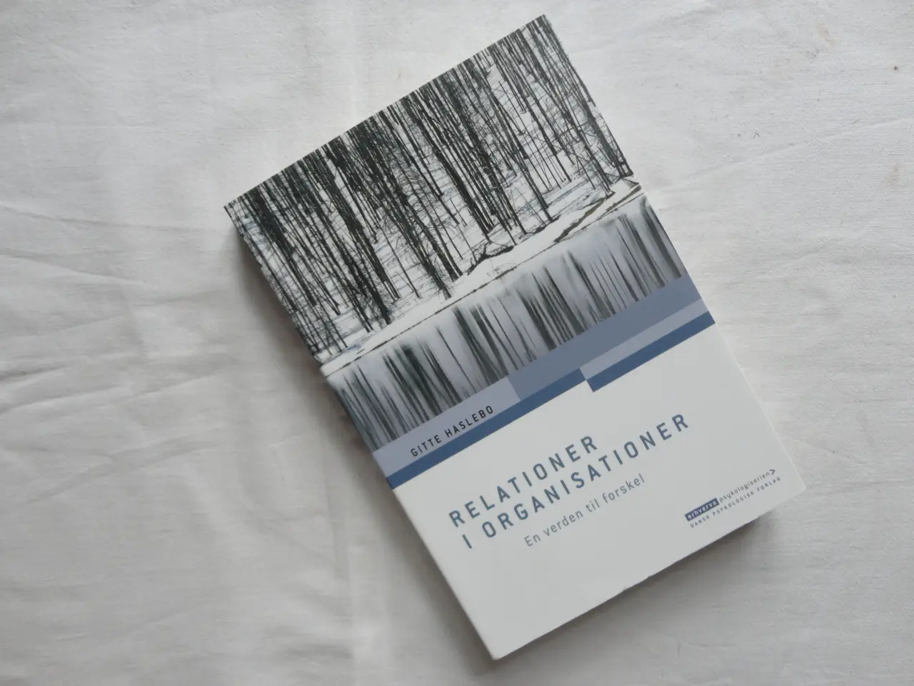 Billede 1 - Relationer i Organisationer :