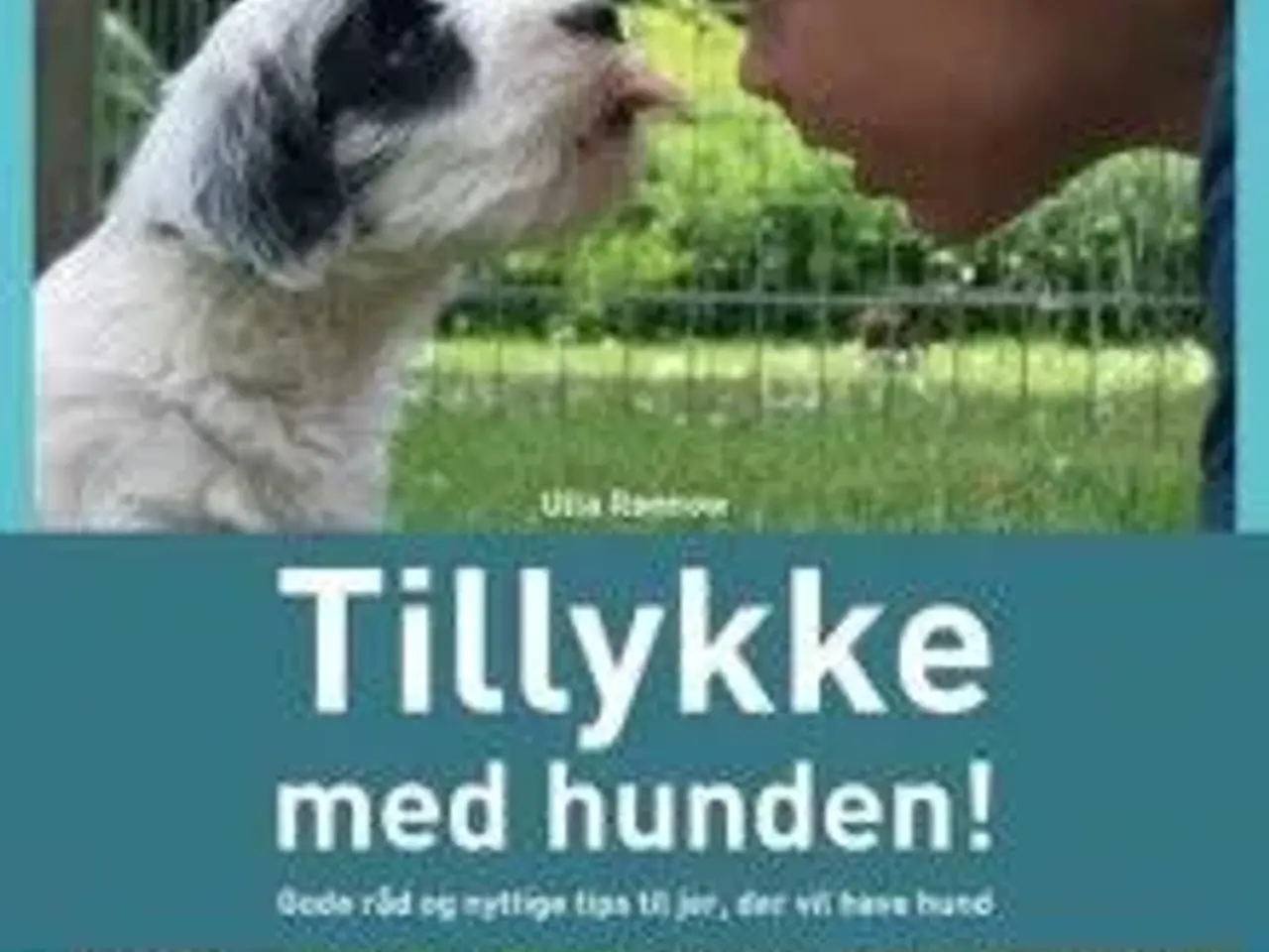 Billede 2 - Hvalpe som hobby
