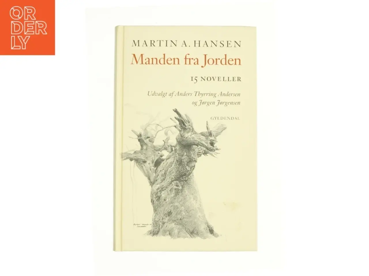 Billede 1 - Manden fra Jorden (Bog)