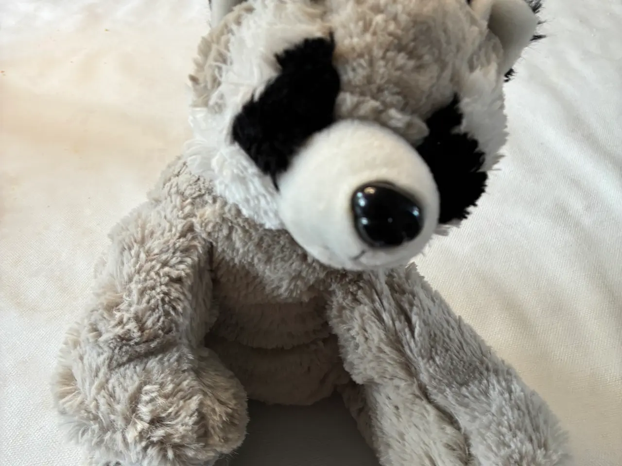 Billede 2 - Blød vaskebjørn, bamse