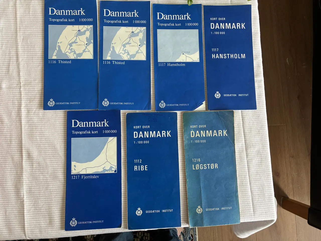 Billede 1 - Topografisk kort  1:100 000  Danmark