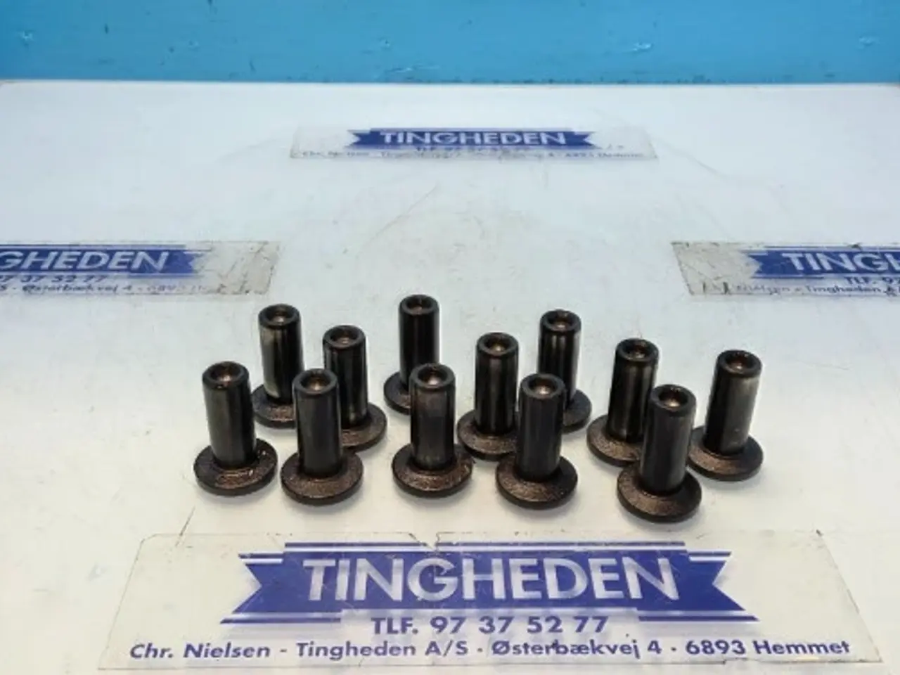 Billede 1 - Case 1620  Ventilløfter  3055052R1   12STK
