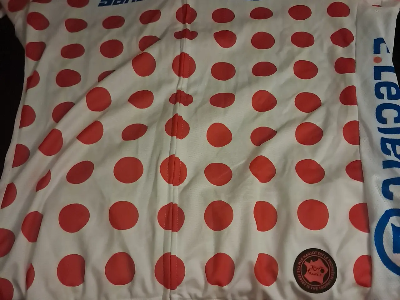 Billede 2 - Tour bjerg trøje