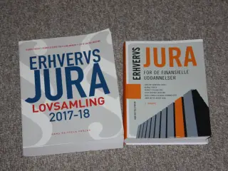Erhvervsjura lovsamling 2017-2018