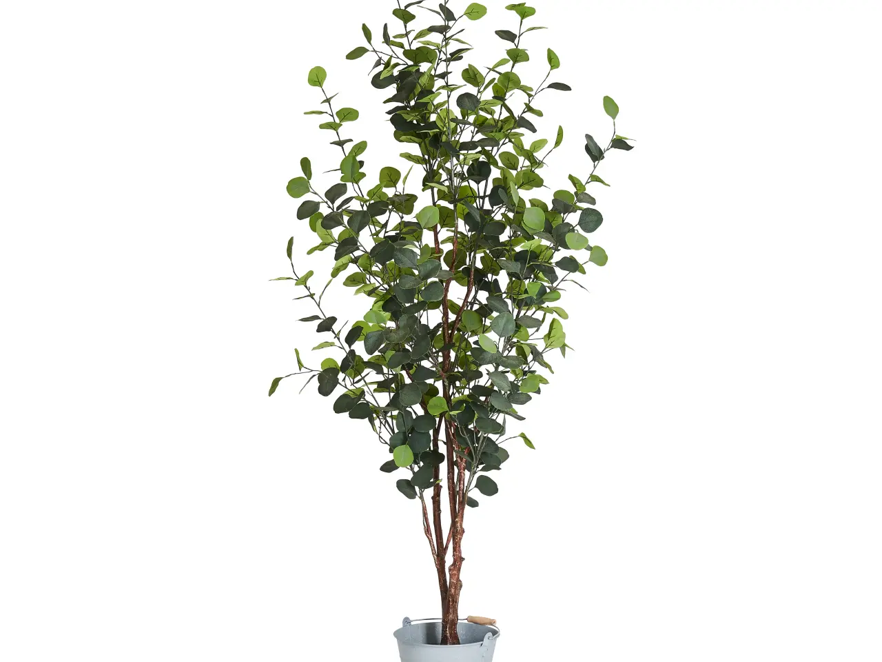 Billede 1 - Kunstig plante Eukalyptus træ 120 cm.