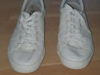 Fritidssko 	