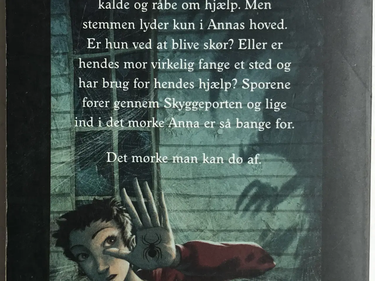 Billede 2 - Skyggeporten - Lene Kaaberbøl