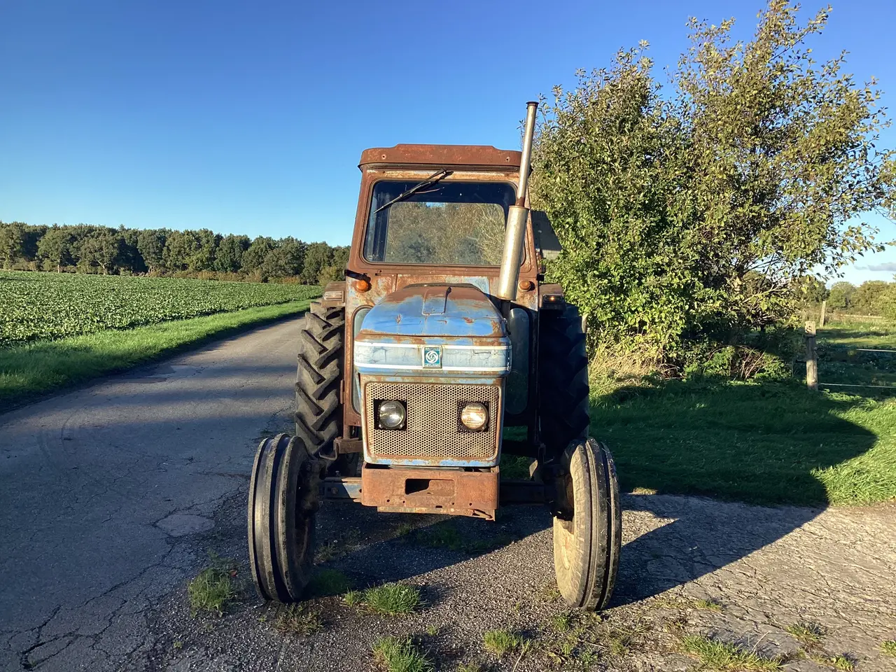 Billede 2 - Traktor
