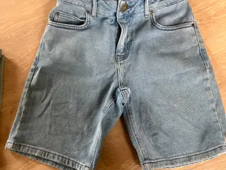 Hound shorts
