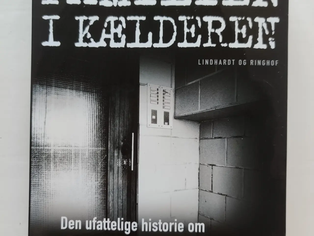 Billede 1 - Familien i kælderen