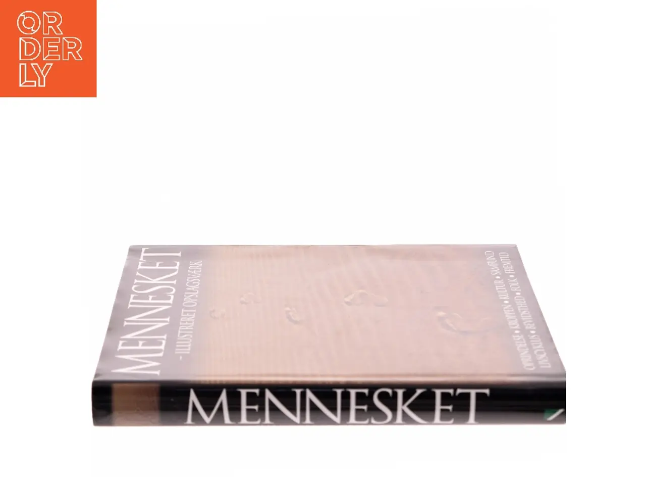 Billede 2 - Mennesket : illustreret opslagsværk (Bog)
