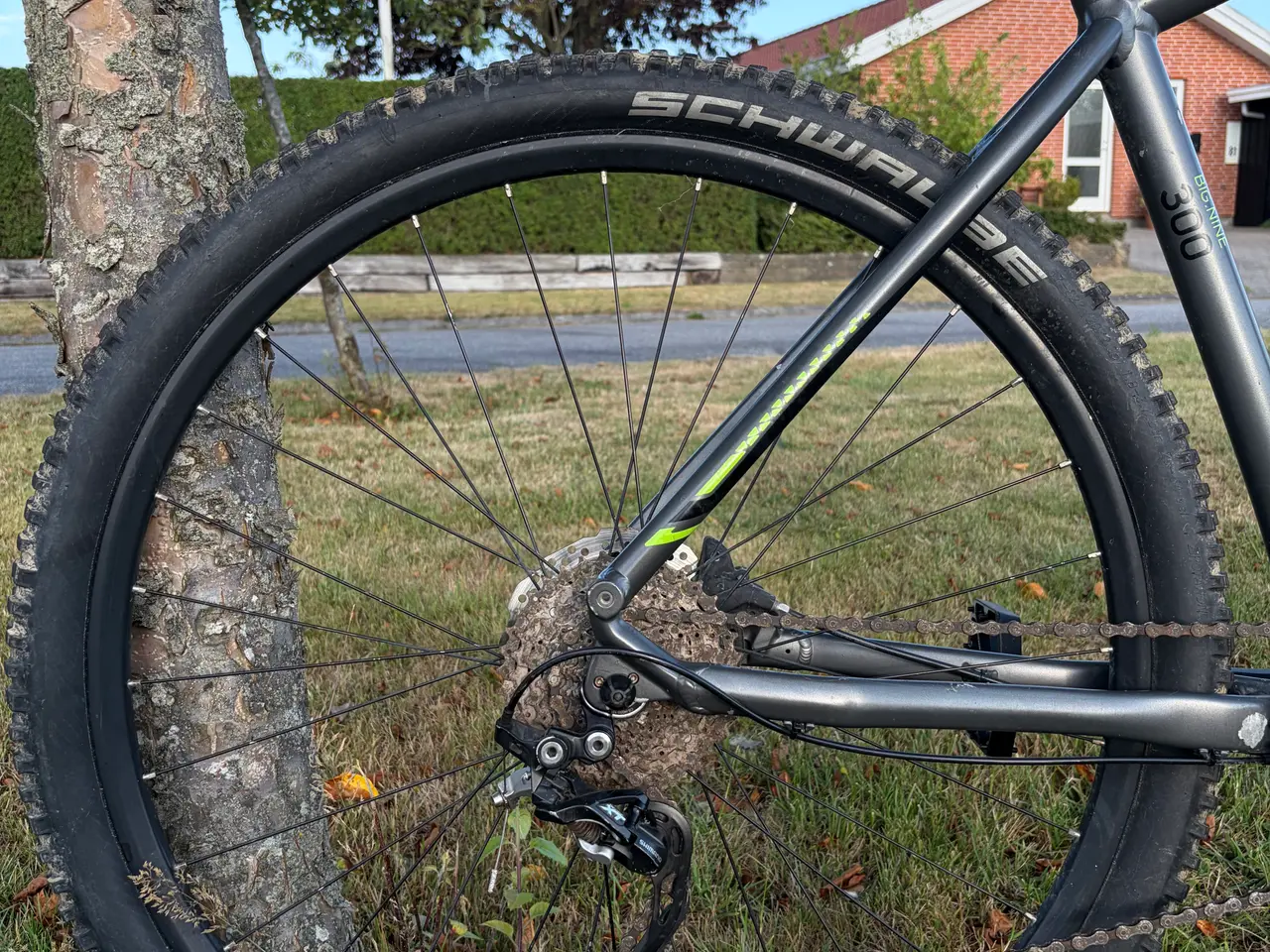 Billede 4 - Merida Big Nine XL