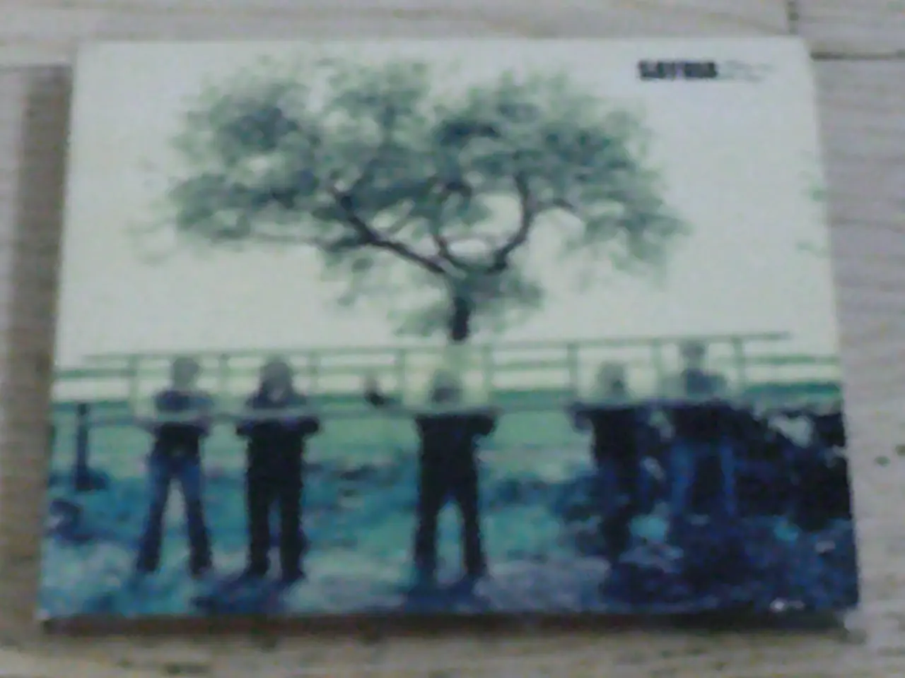Billede 1 - SAYBIA - THESE ARE THE DAYS