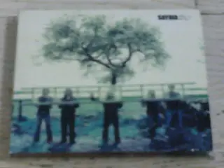 SAYBIA - THESE ARE THE DAYS