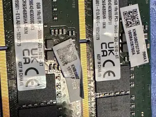 DDR 5 ram til bærbar
