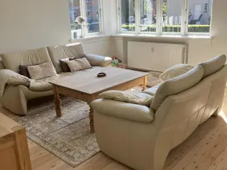 Flotte lædersofaer 2. + 3. personer