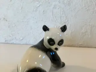 Panda af Lomonosov