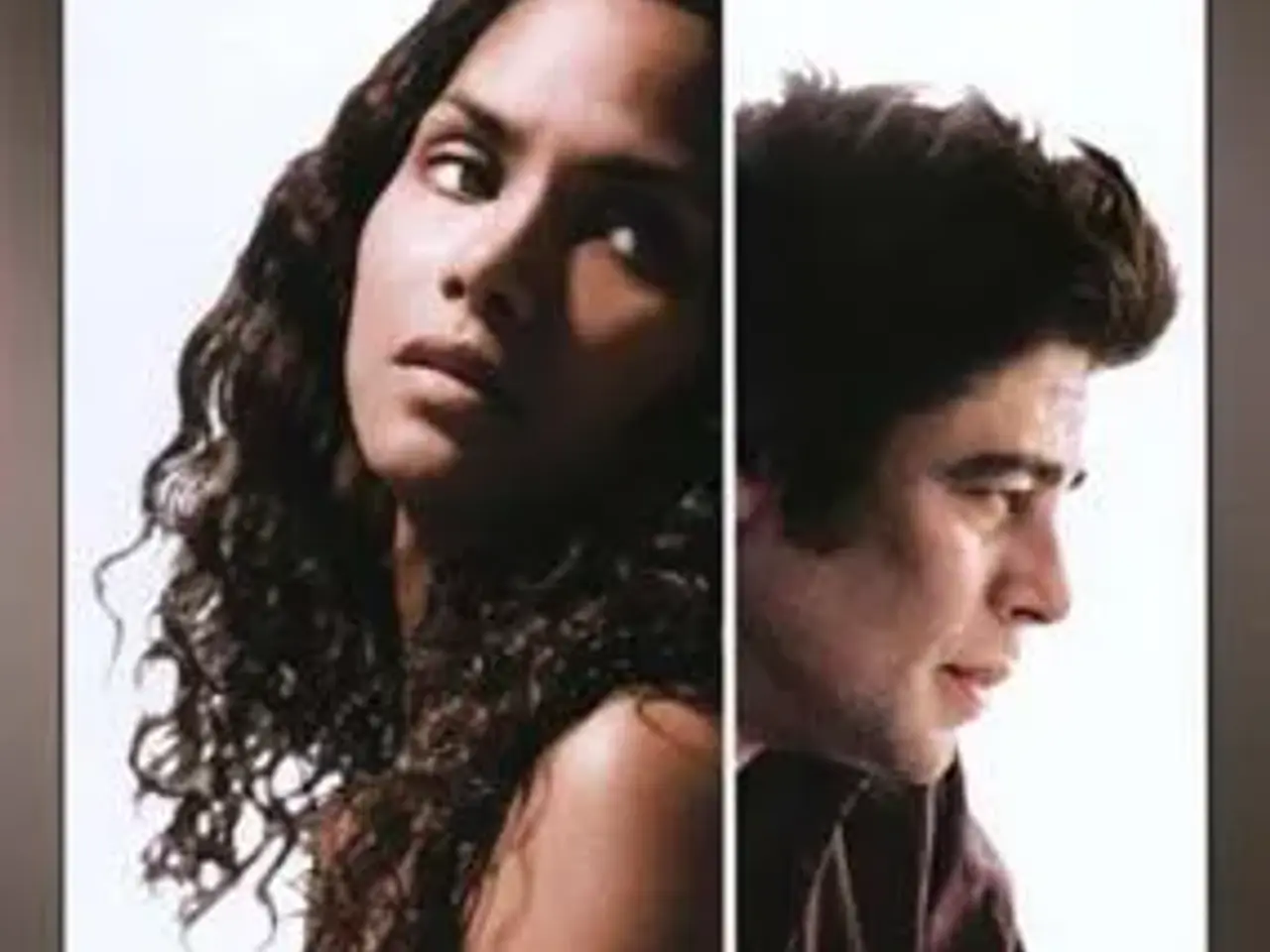 Billede 1 - HALLE BERRY ; Things we lost in the fire