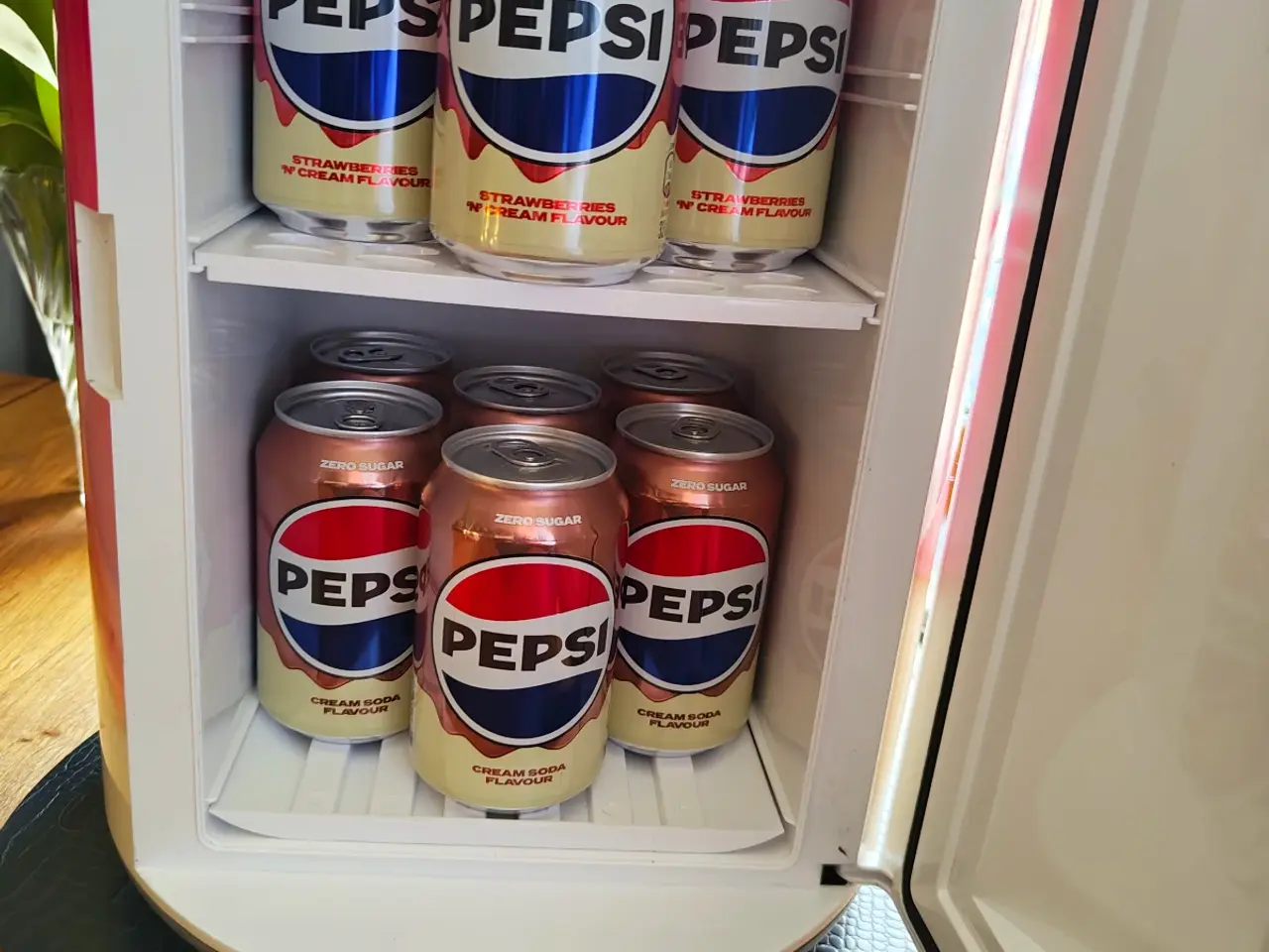 Billede 2 - Pepsi køleskab 13volt eller 230volt