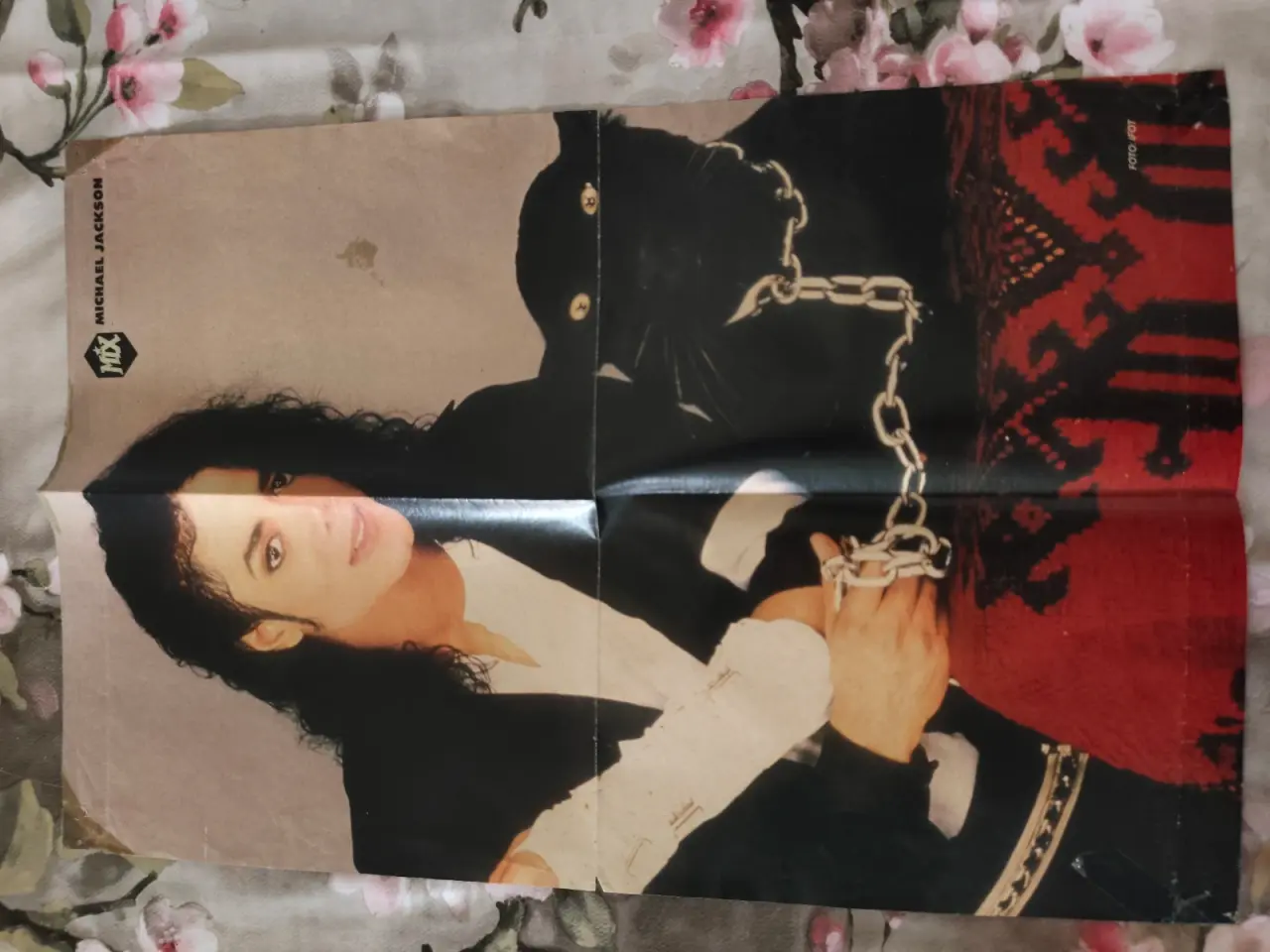 Billede 1 - Michael Jackson og sort Panter plakat